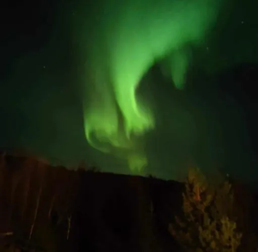 New Near The Sea Lejlighed